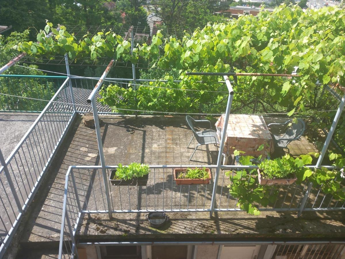 Apartmans Adi サラエヴォ エクステリア 写真